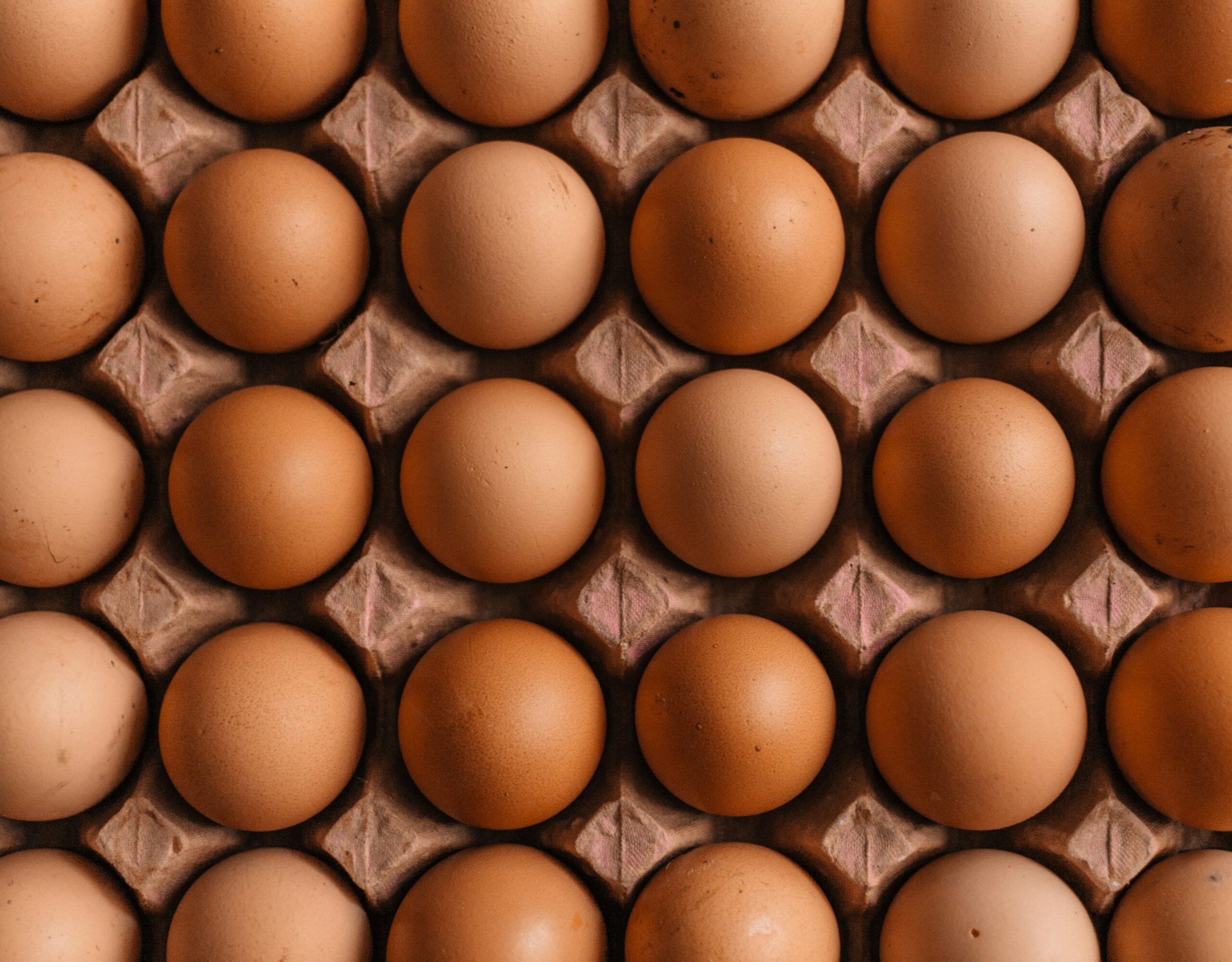 A Carton of Eggs